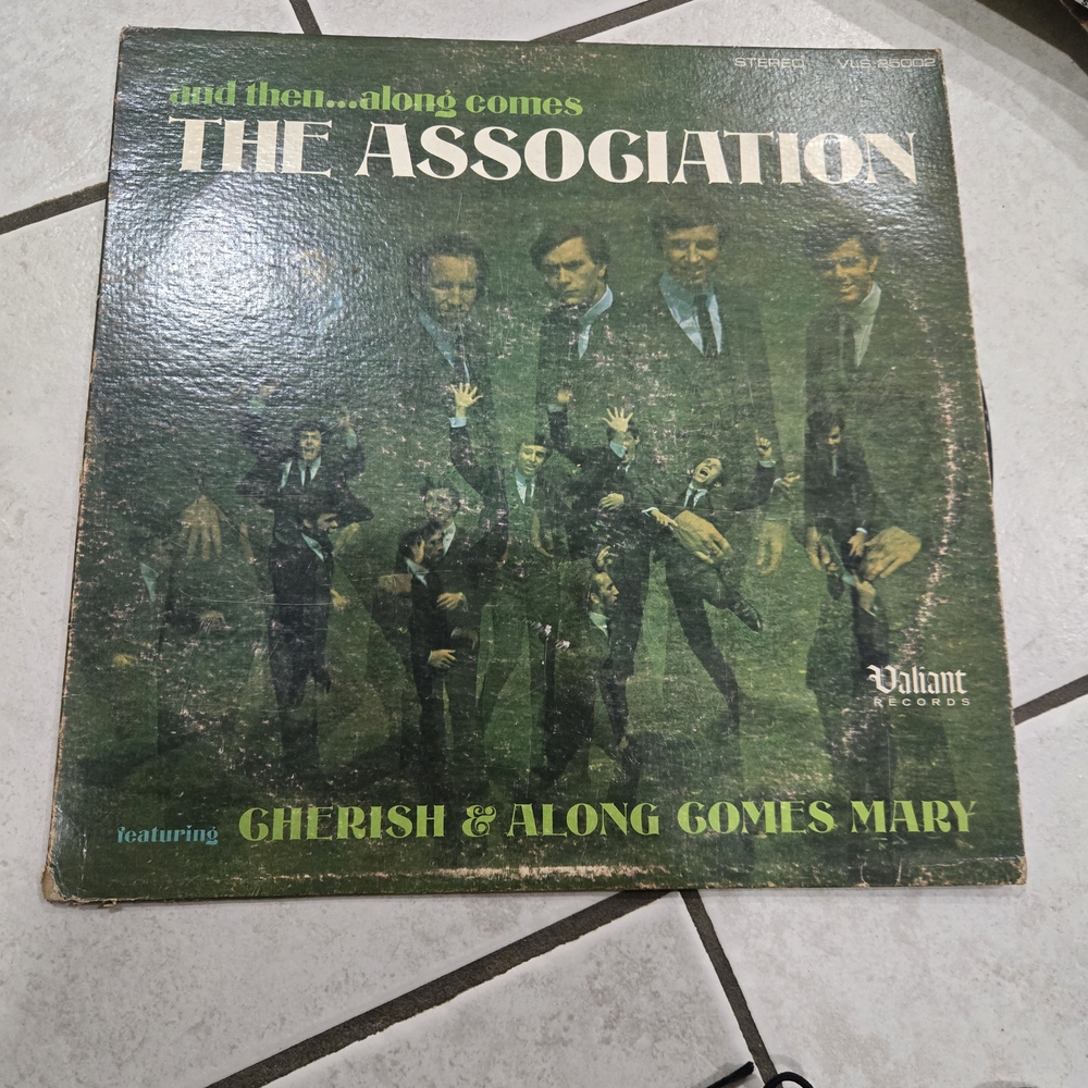 The Association Vinyl Record